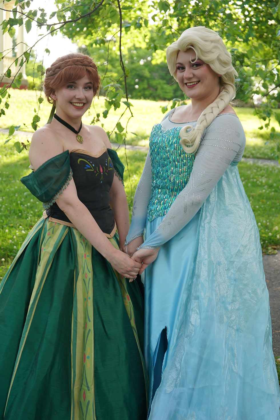 Frozen Birthday Party
