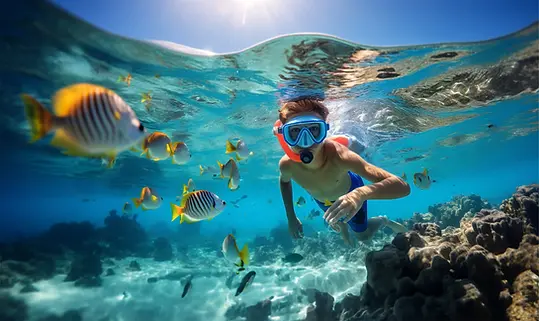 snorkling Red Sea