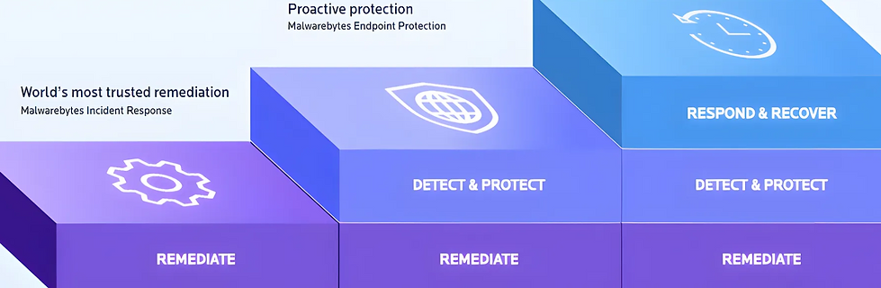 malwarebytes endpoint subscription