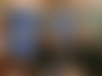 " Un viaggio nella Genova medievale"