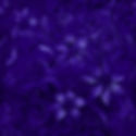 floral purple_edited.jpg