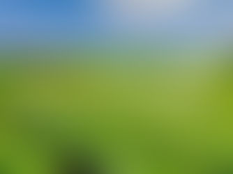 Smart Timer: A wireless, battery-powered electricity control system.