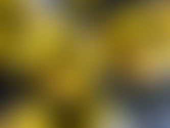 Custom Branded “Snap Chips” for Snapchat