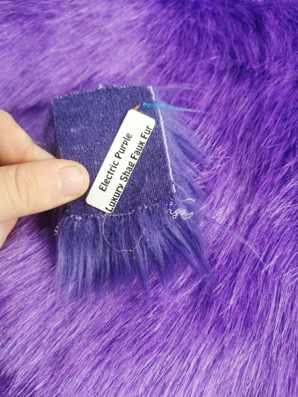 Thumbnail: Electric Purple "Teddy Fox"