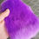 Thumbnail: Electric Purple "Teddy Fox"