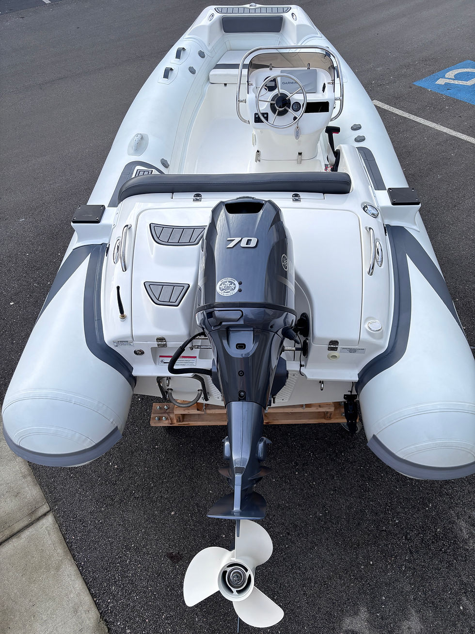 Thumbnail: 2019 Walker Bay Generation 450 DLX / 70HP Yamaha