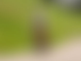 Understanding Cross-Training for Trail Runners