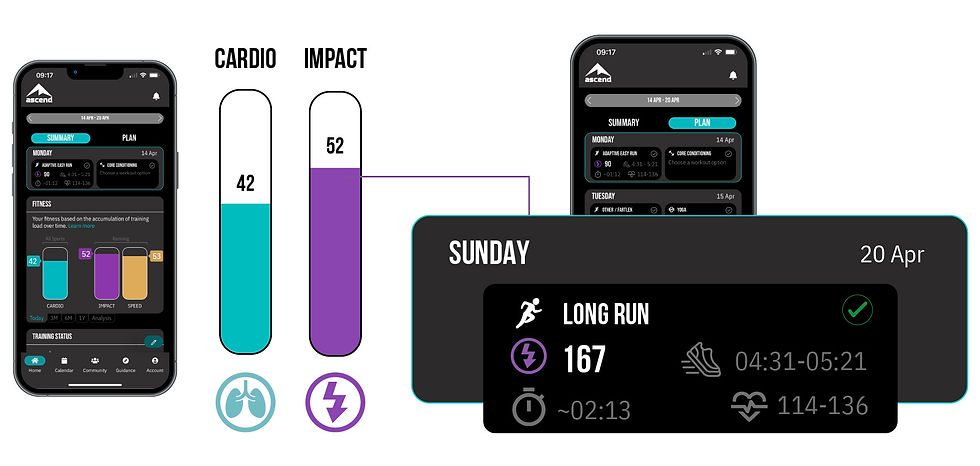 Ascend Long Run
