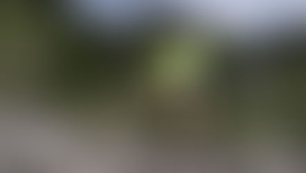 Running Impact vs Cardio Load