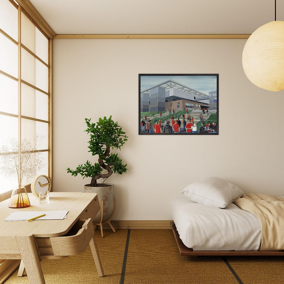 Thumbnail: RB Salzberg Football Stadium Scene by artist Andrew Robinson andrewrobinsonart.com. Available in fine art print, poster, canvas prints and mugs etc 