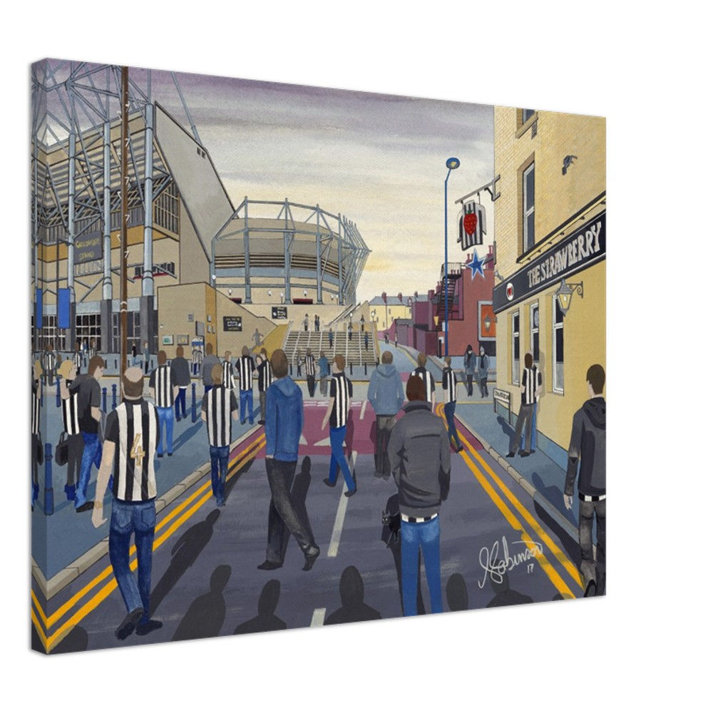Newcastle United F.C, Football Stadium By Artist Andrew Robinson andrewrobinsonart.com, Andrew Robinson art .Framed Fine Art Prints, Posters, Canvas Prints, Framed canvas prints, Ceramic Mugs etc sport, football, rugby, NFL