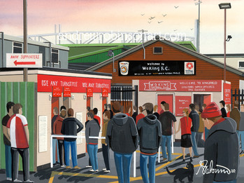 Woking F.C Kingfield football stadium andrewrobinsonart andrew robinson artist football art pri