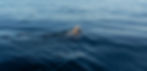 S4TO by Joshua McCormack-01093_edited_edited.jpg