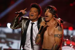bruno1.webp