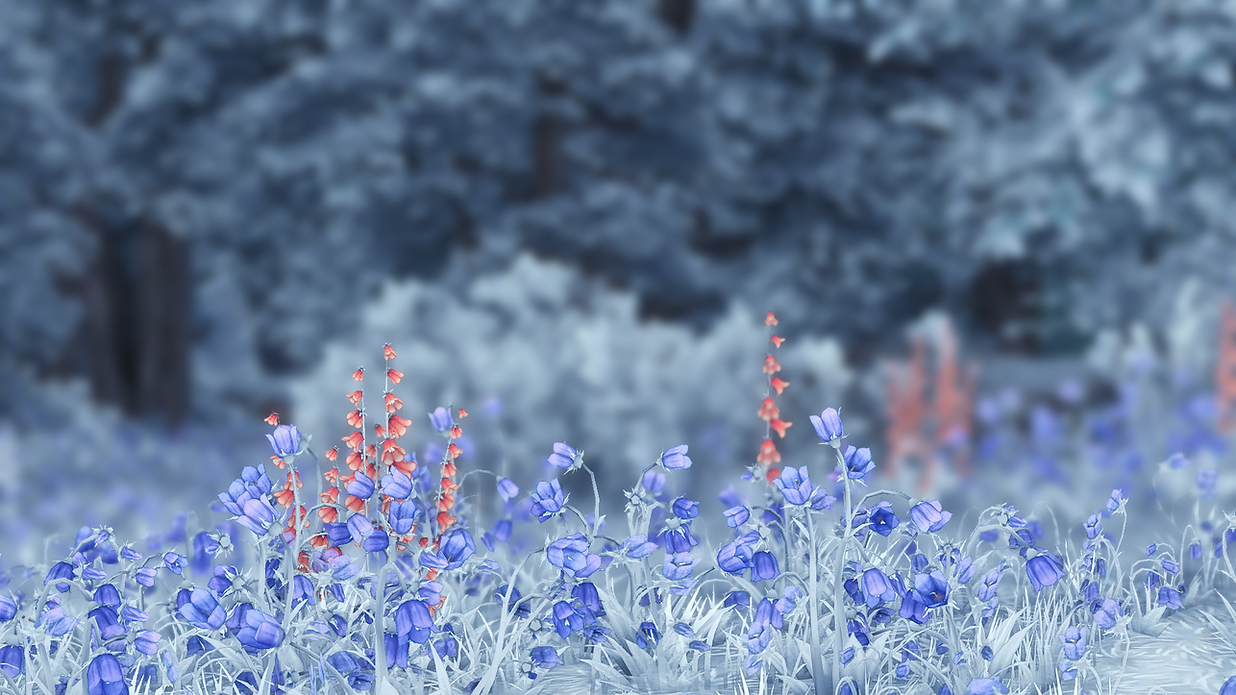 StarStable 2026-03-12 21-50-37.png