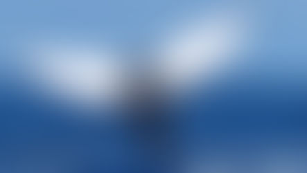 Observation from the boat with engines off of a humpback whale and her calf