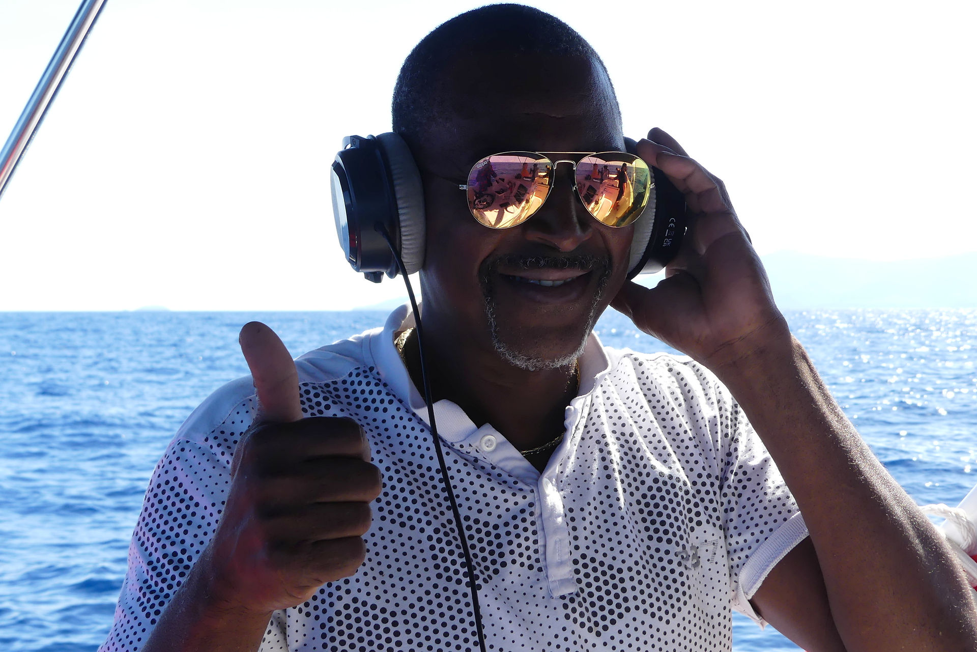  The joy of hearing cetacean sounds with a hydrophone
