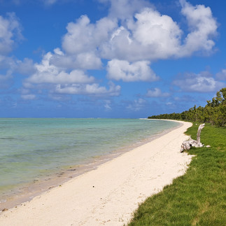 Plage de l'ile aux Cocos à découvrir en excursion à la journée