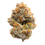 Thumbnail: BlackBerry