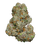 Thumbnail: Girl Scout Cookies