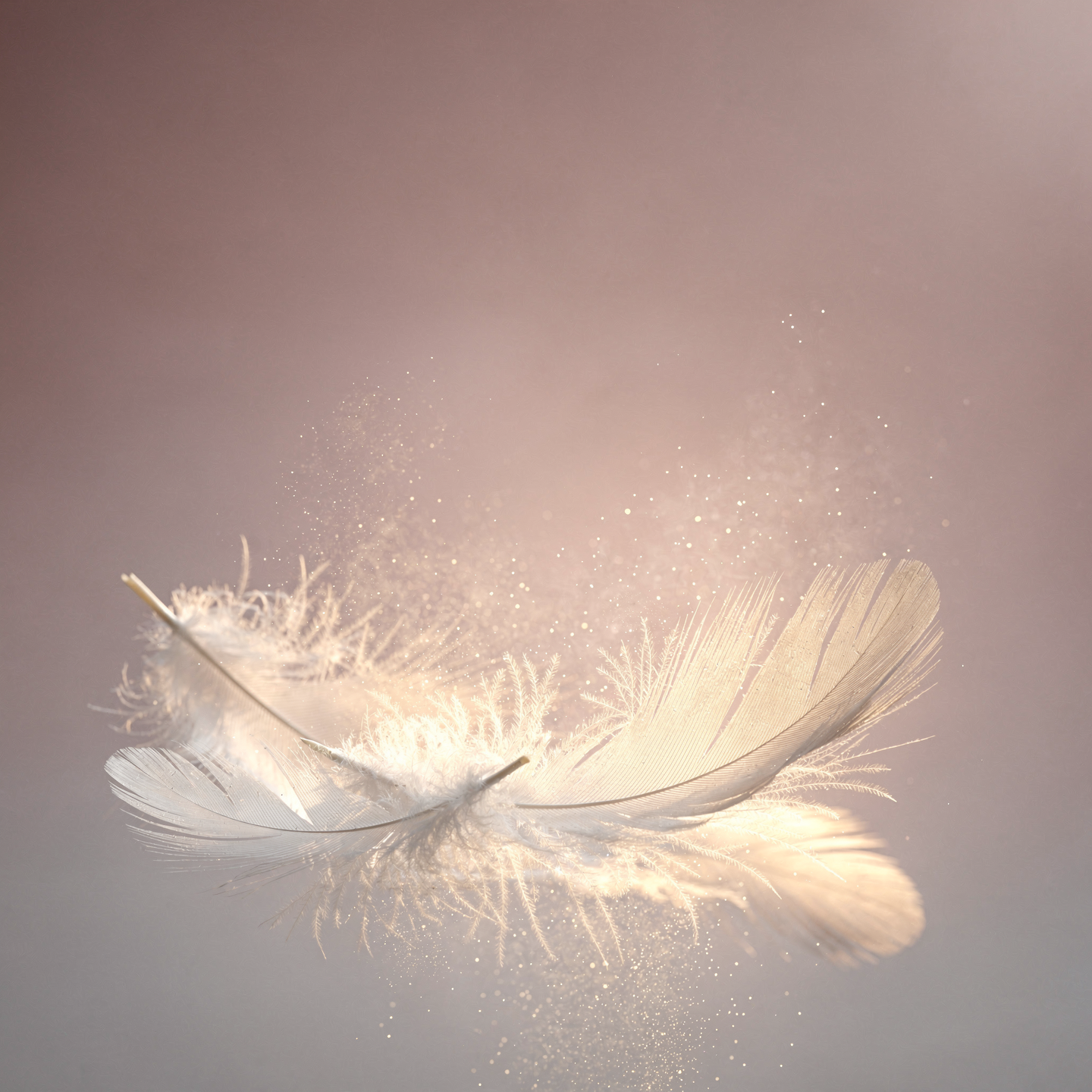 14-Day Forgiveness Process