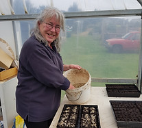 Volunteer in the nursery planting seeds