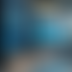 Specializations of TL Global Insights