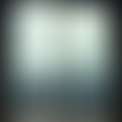 Understanding Borrowed Views Architecture in Singapore