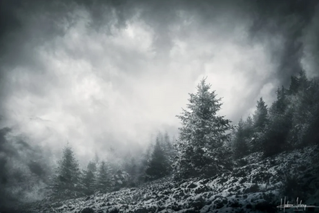 Assemblia & Sténopé présentent "Échos d'un Voyage Intérieur", une exposition photographique d'Hadrien Leloup 