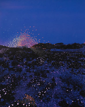 4_LECCIA-SABATINA-Photo pour programme-Traverser-la-nuit web.jpg