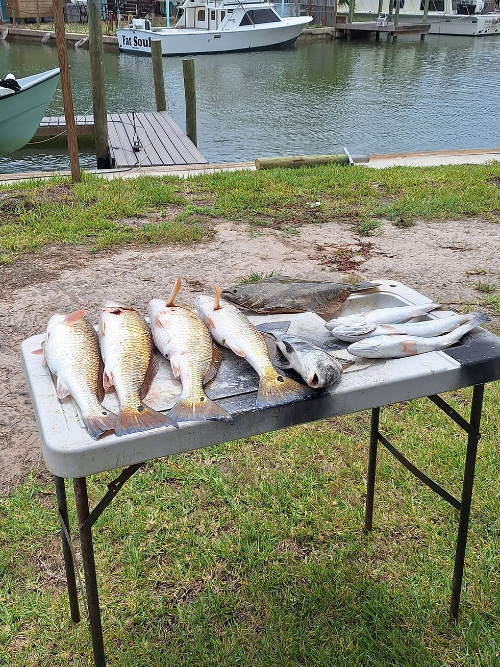Aransas Pass Fishing Report Clean Fun Fishing 04/23/2026