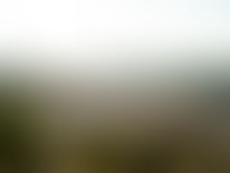 Ocupação, Aproveitamento e outros índices urbanísticos. O que são e como impactam as Cidades?