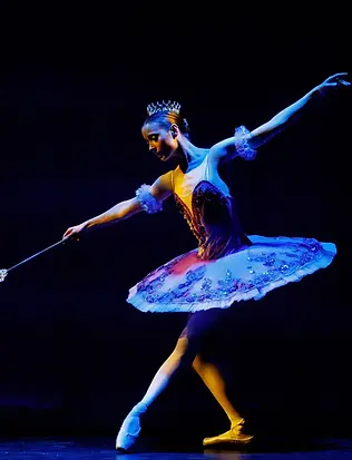 Cinderella-Fairy-godmother.webp