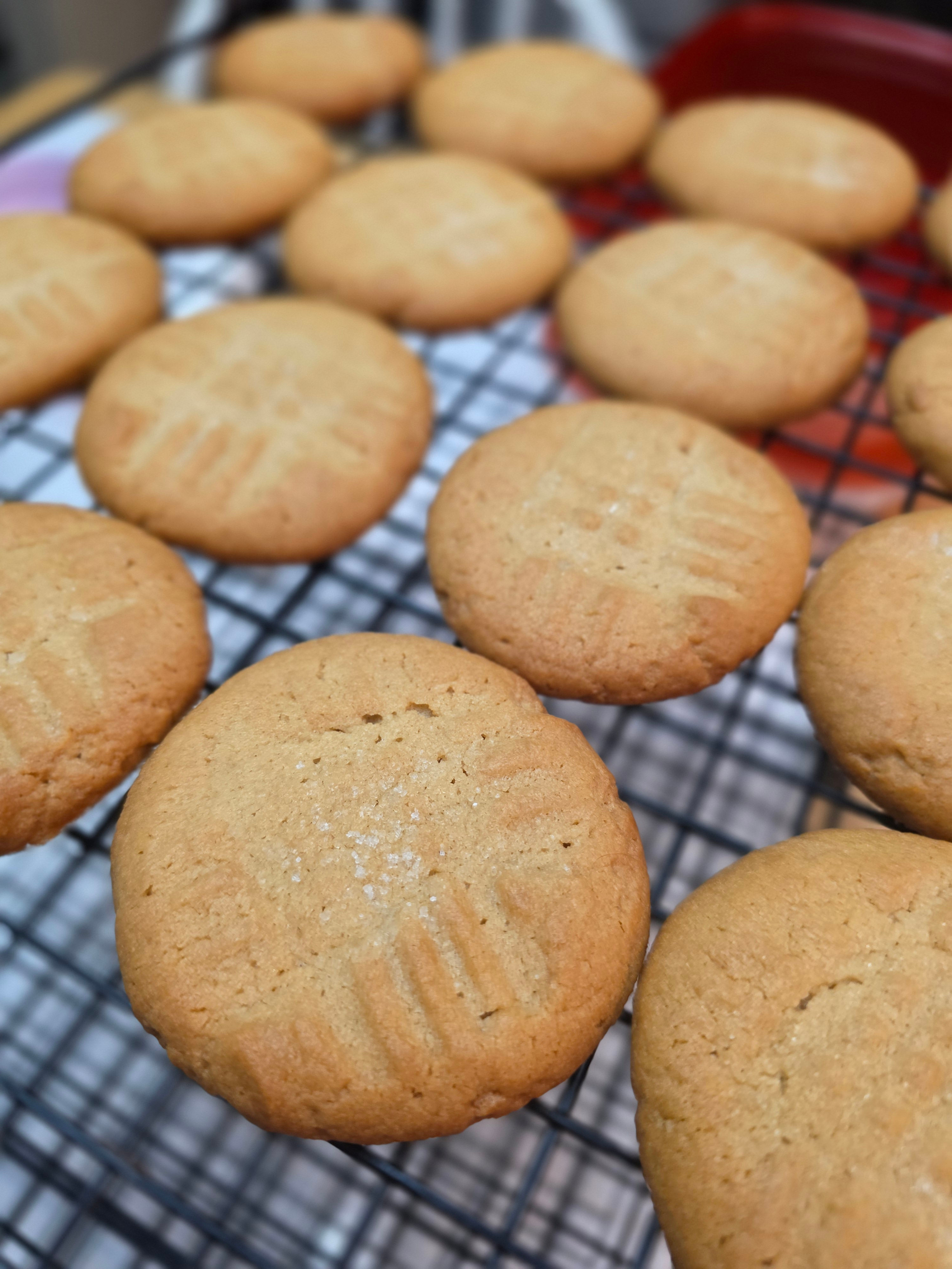 Peanut Butter Cookie