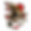 EAGLE ANCHOR-01.png