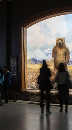 american-museum-of-natural-history-01-marleywhite
