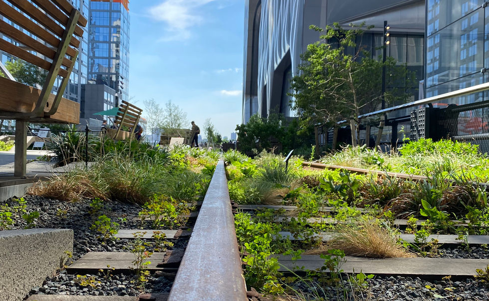 Old rails at Hudson Yards during The High Line Walking Tour with Yaroslav Bondarenko.
Image by Yaroslav Bondarenko
