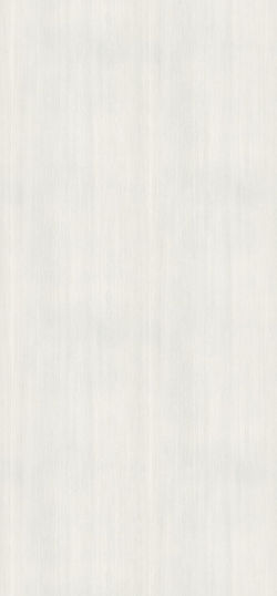 White Fineline H3195 ST19