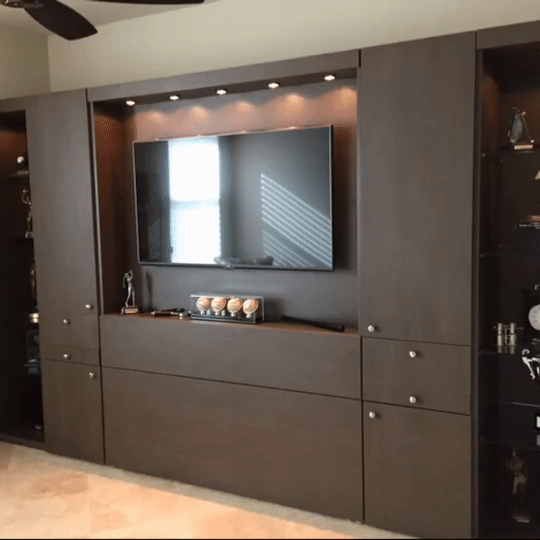Check Out This Man Cave Murphy Bed Wall Unit ZoomRoom
