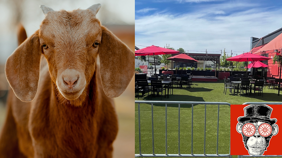 Goat Yoga @Red Wheel 21+