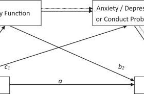 High Suicidality Among Children With ADHD Mediated by Family Functioning, Psychiatry Comorbidities