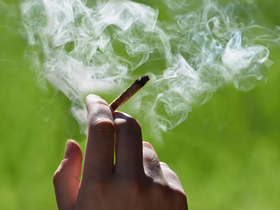 Study Says Casual Pot Use Harmful to Teens