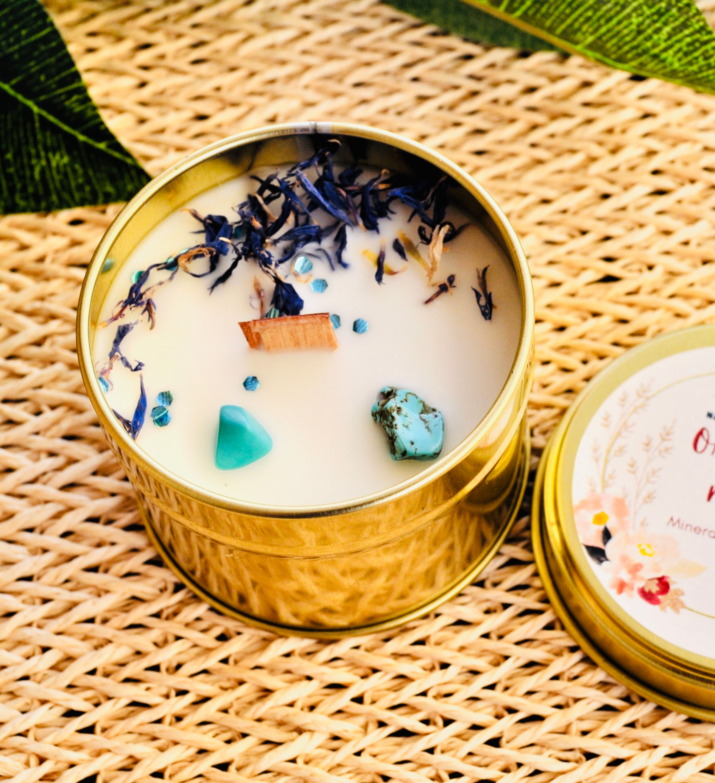 baby orquidea negra y turquesa