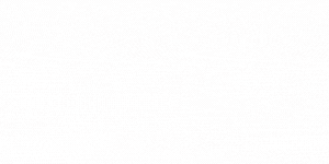 TFF YouTube Subscribe Button