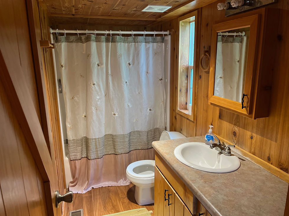 Moose Lodge Bathroom