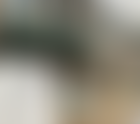 Please Vote - Primary Election Day is this Tuesday, July 19