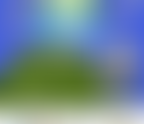 Power to the People, in the Park, and across the USA!