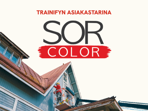 Maalausliike Sorcolor Oy:n maalareita valjaissa ja suojavarusteissa työmaalla, jossa työturvallisuus on varmistettu Trainifyn mobiilikoulutuksella.