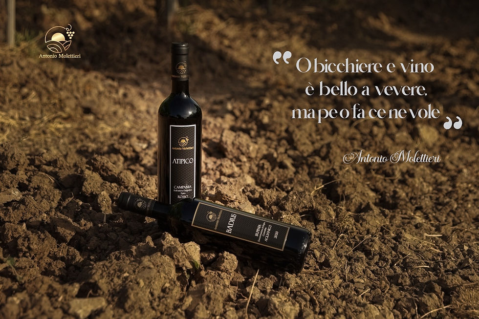 Molettieri motto.jpeg