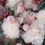 Thumbnail: Peony Bouquet FF